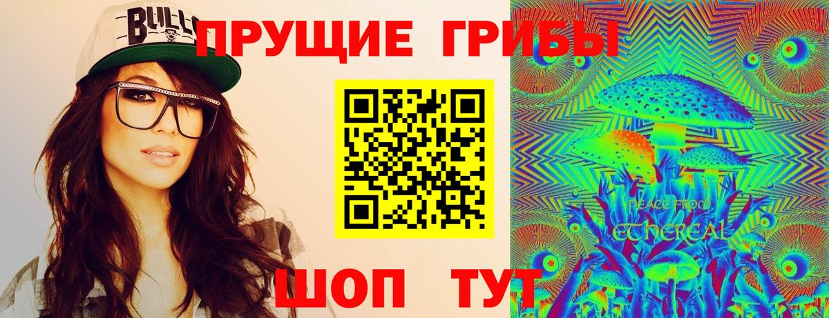 Клинцы  Галлюциногенные грибы ЛСД  Вход с VPN 